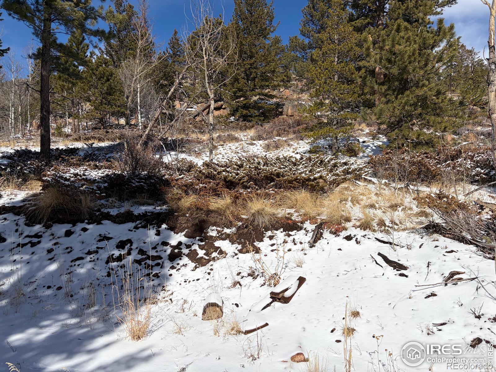 115 Wenro Court Red Feather Lakes CO 80545