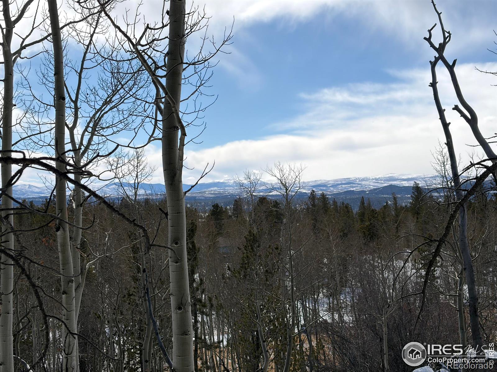 115 Wenro Court Red Feather Lakes CO 80545