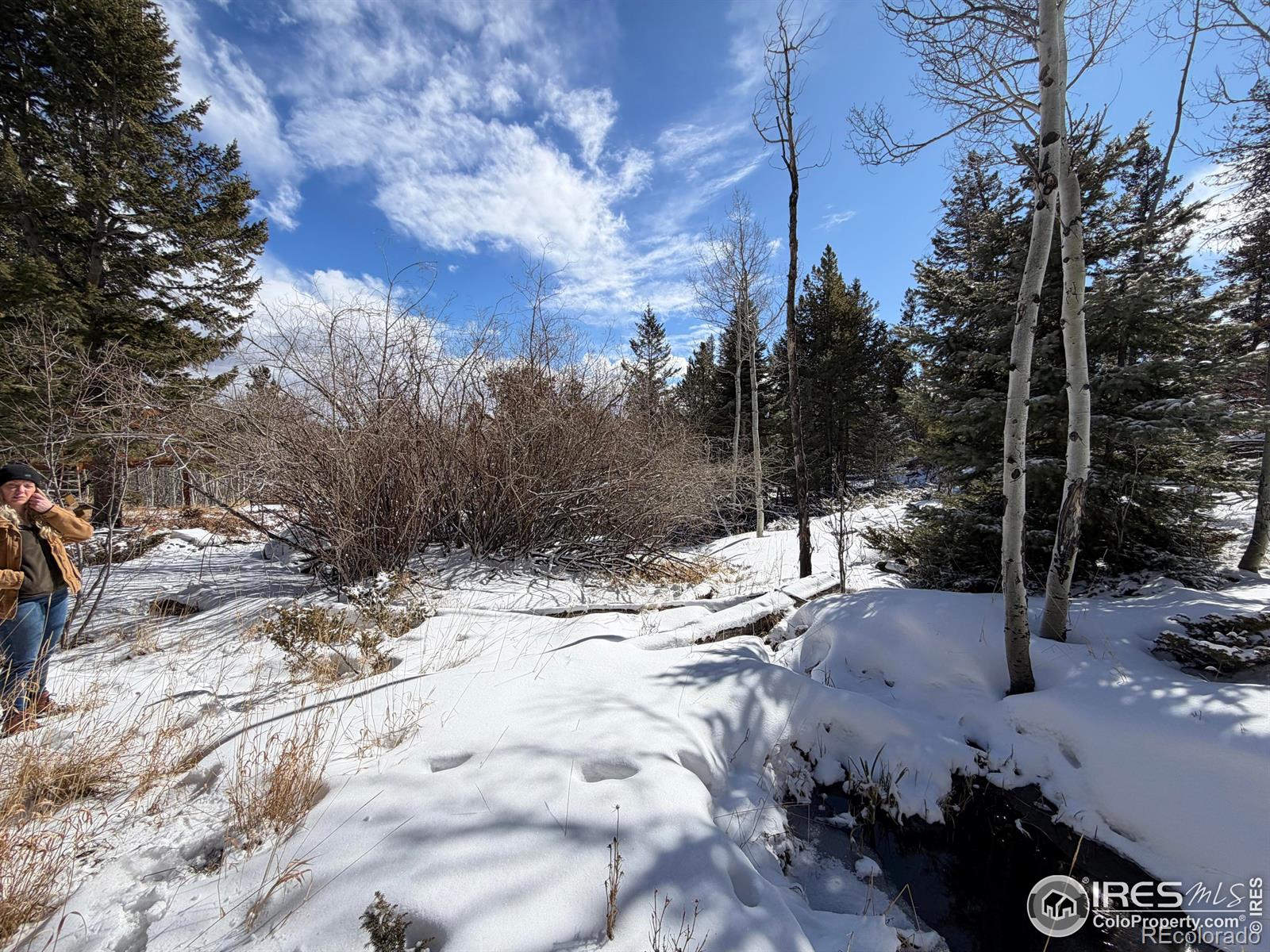 115 Wenro Court Red Feather Lakes CO 80545
