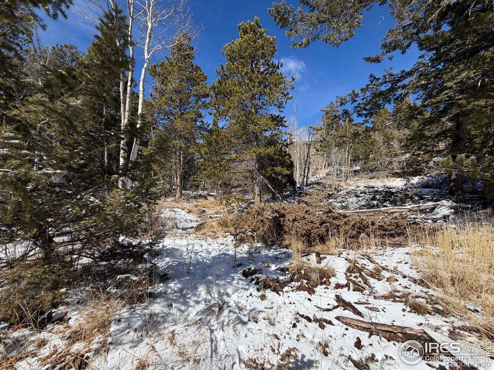 115 Wenro Court Red Feather Lakes CO 80545