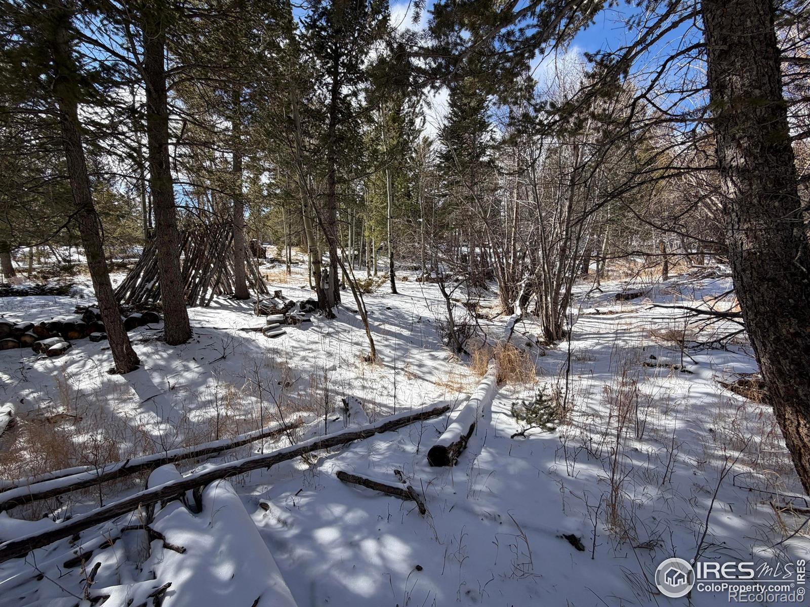 115 Wenro Court Red Feather Lakes CO 80545