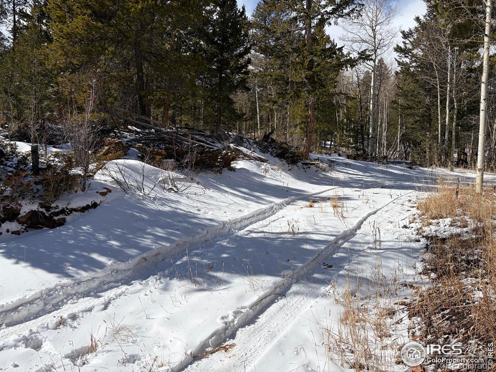 115 Wenro Court Red Feather Lakes CO 80545