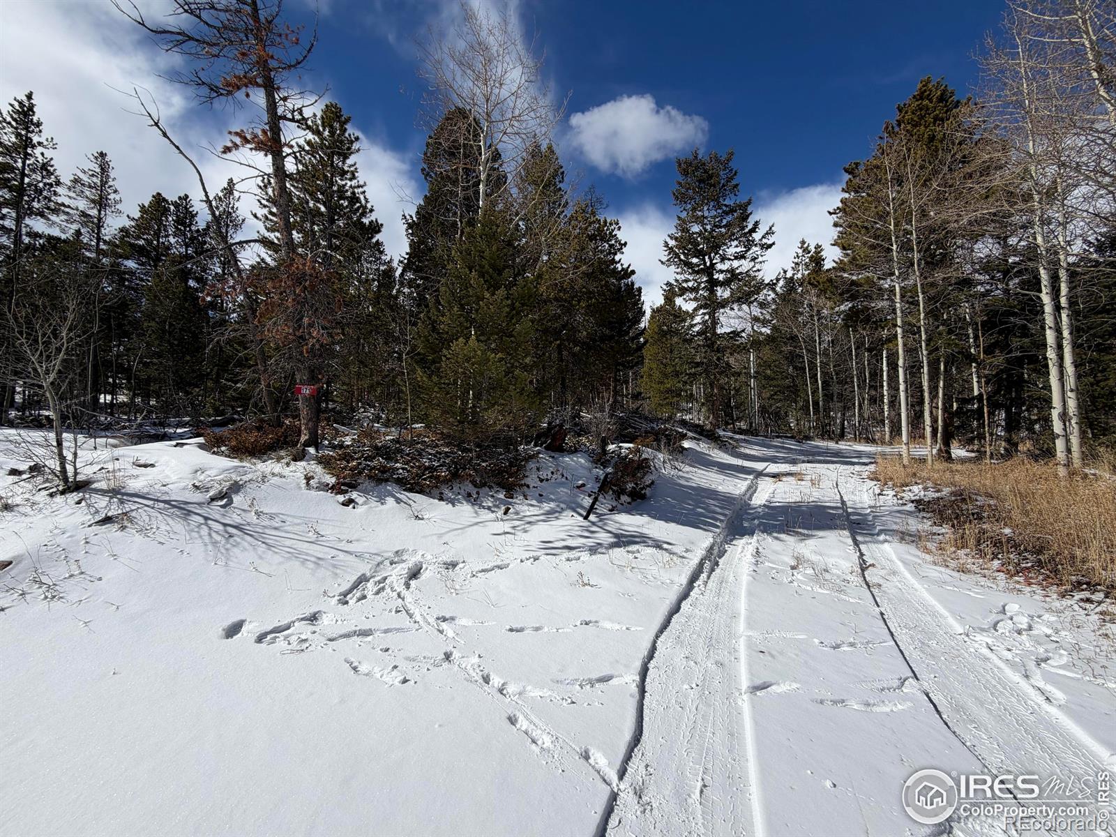 115 Wenro Court Red Feather Lakes CO 80545