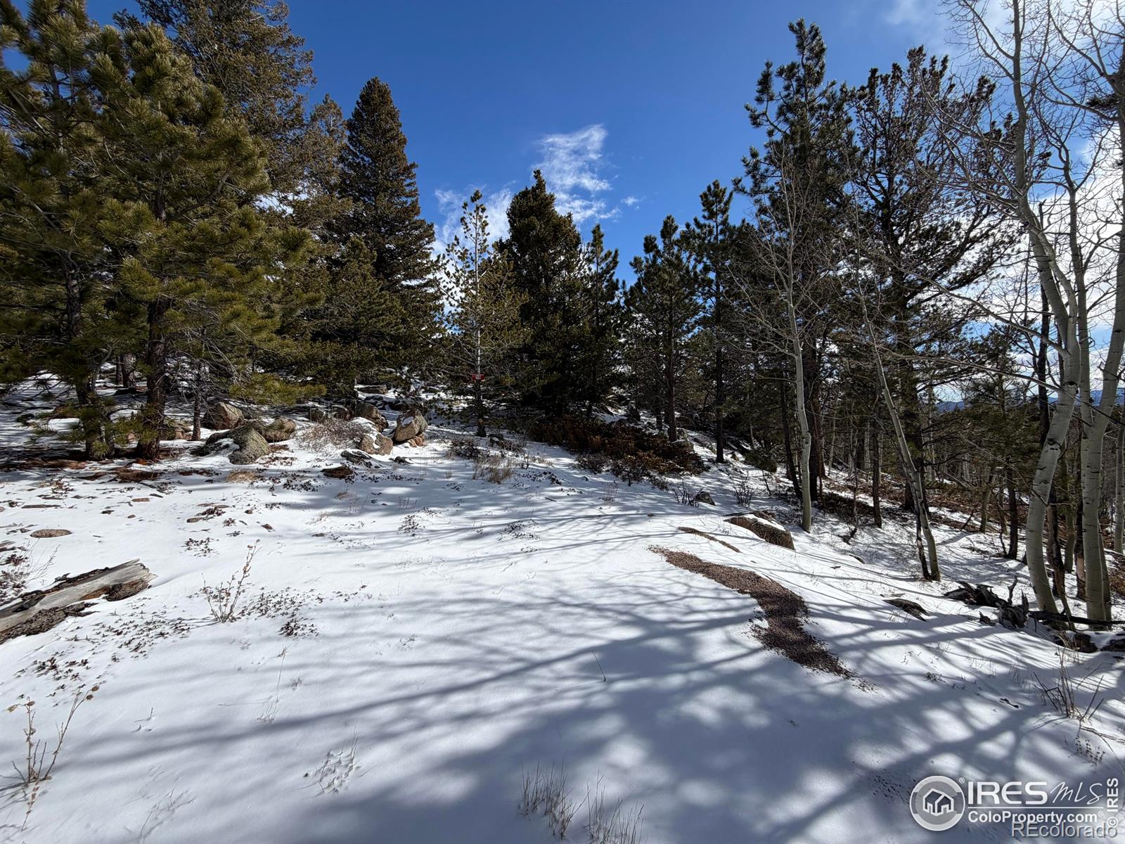 115 Wenro Court Red Feather Lakes CO 80545
