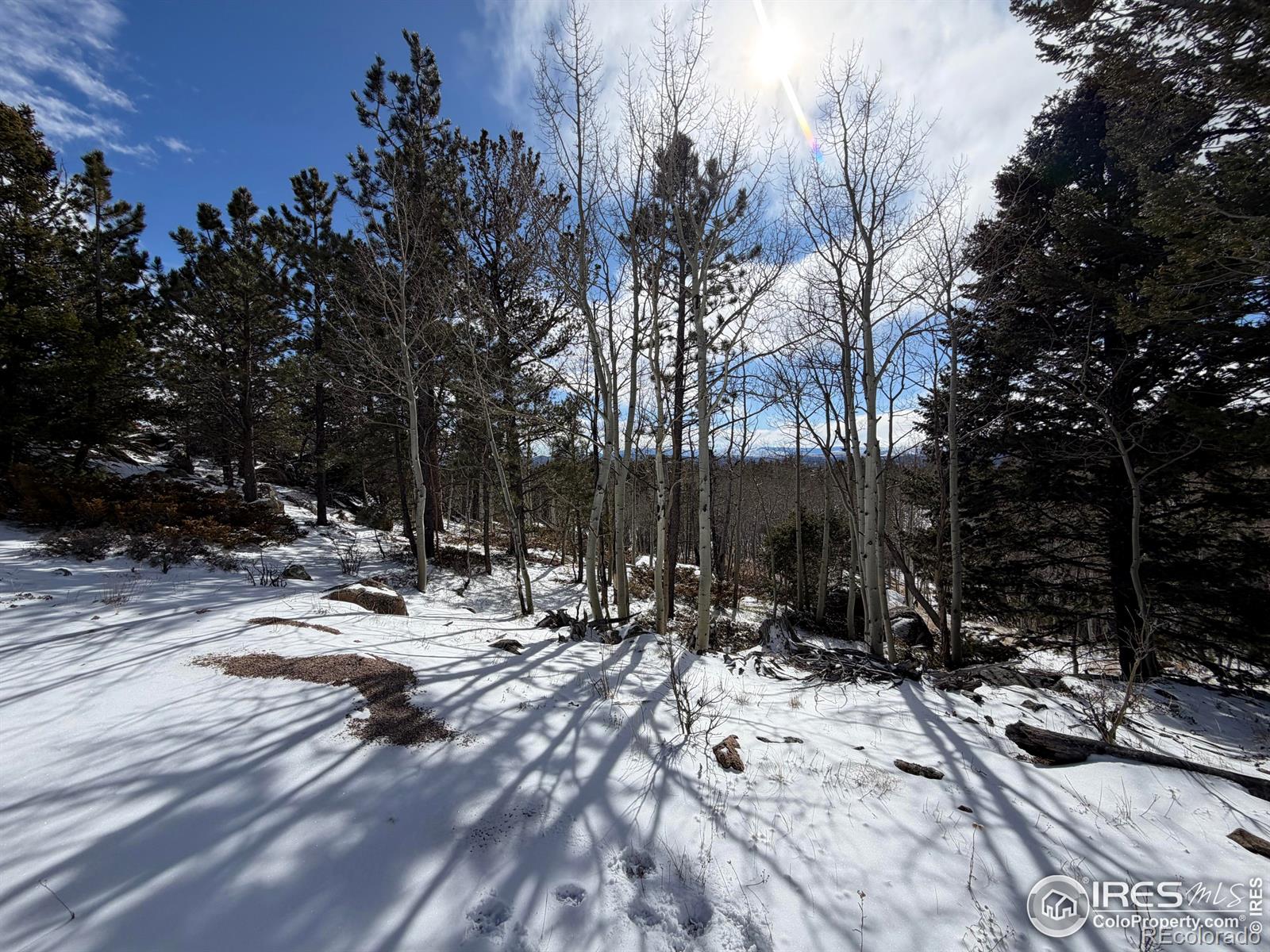 115 Wenro Court Red Feather Lakes CO 80545