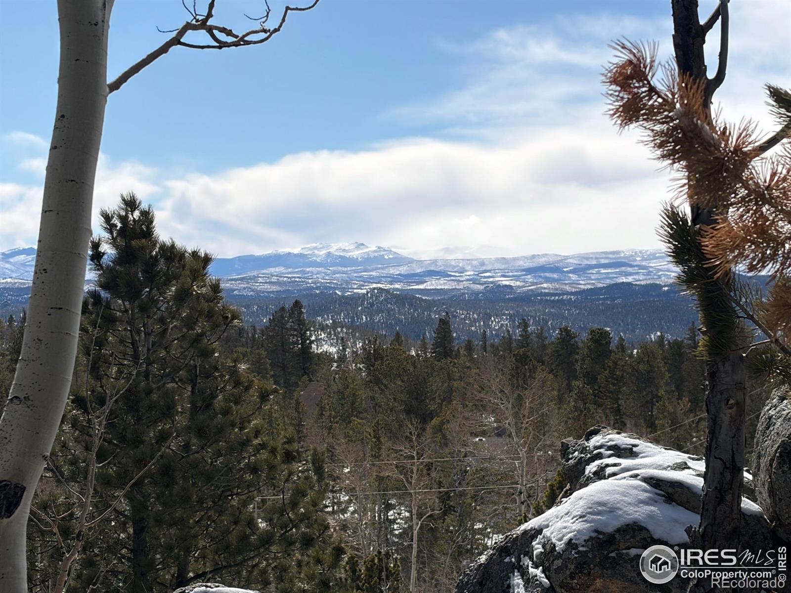 115 Wenro Court Red Feather Lakes CO 80545