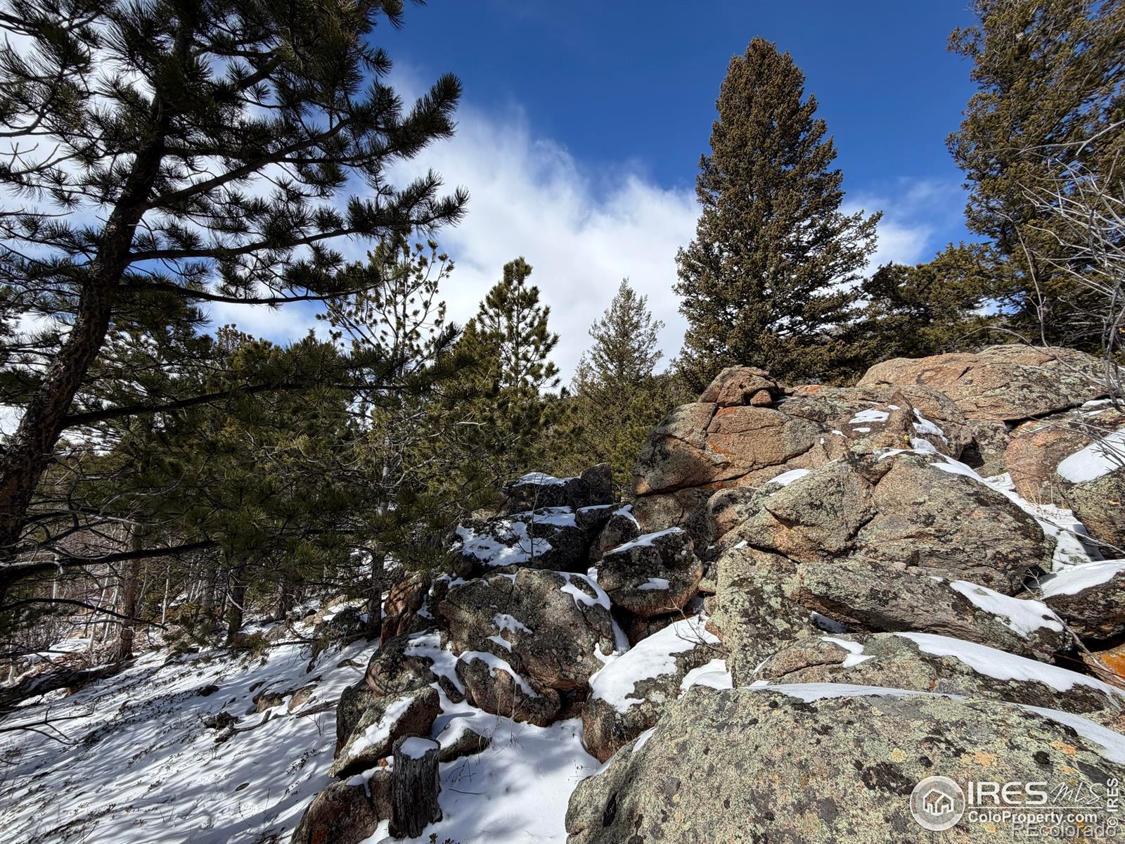 115 Wenro Court Red Feather Lakes CO 80545