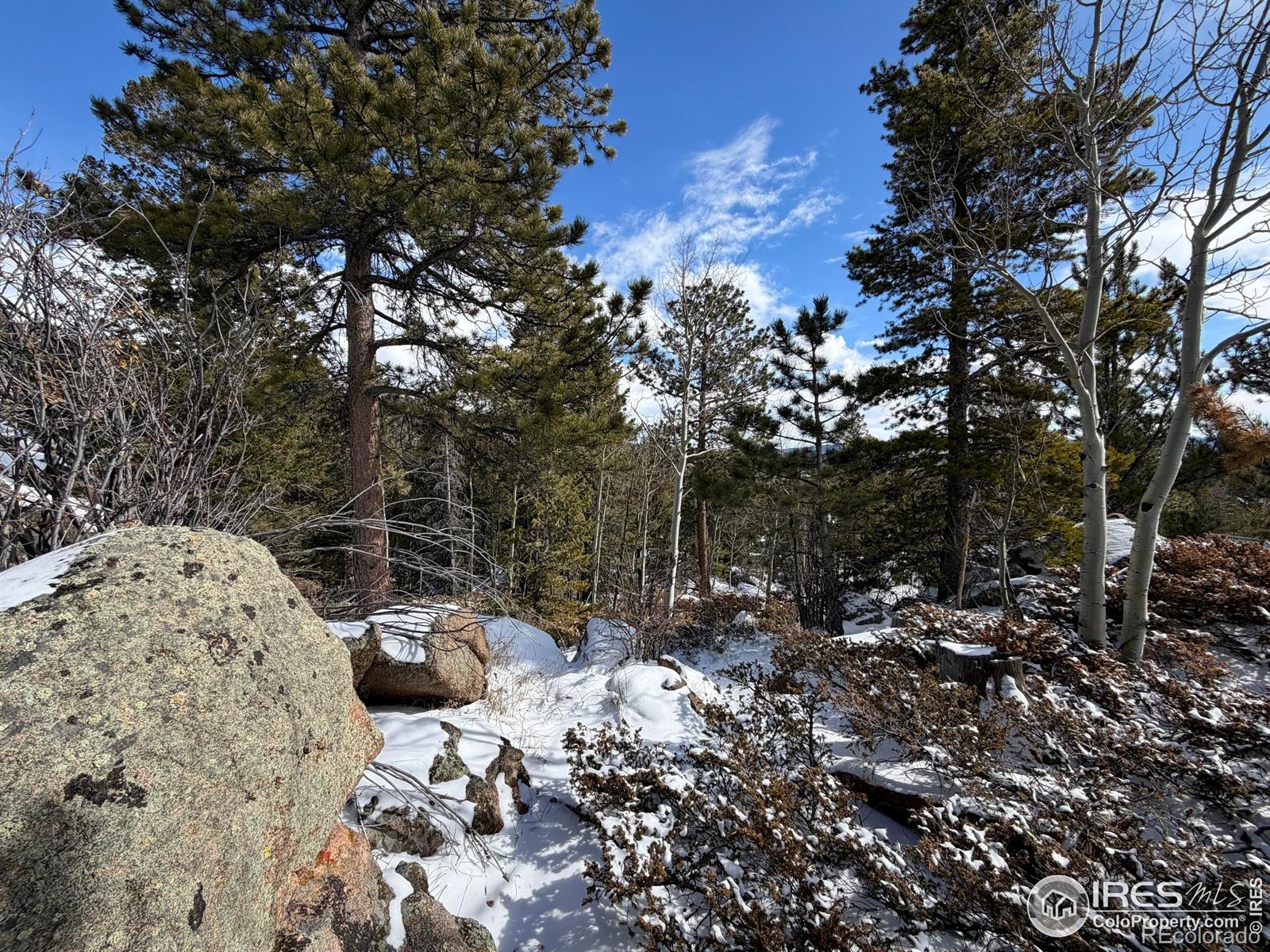 115 Wenro Court Red Feather Lakes CO 80545