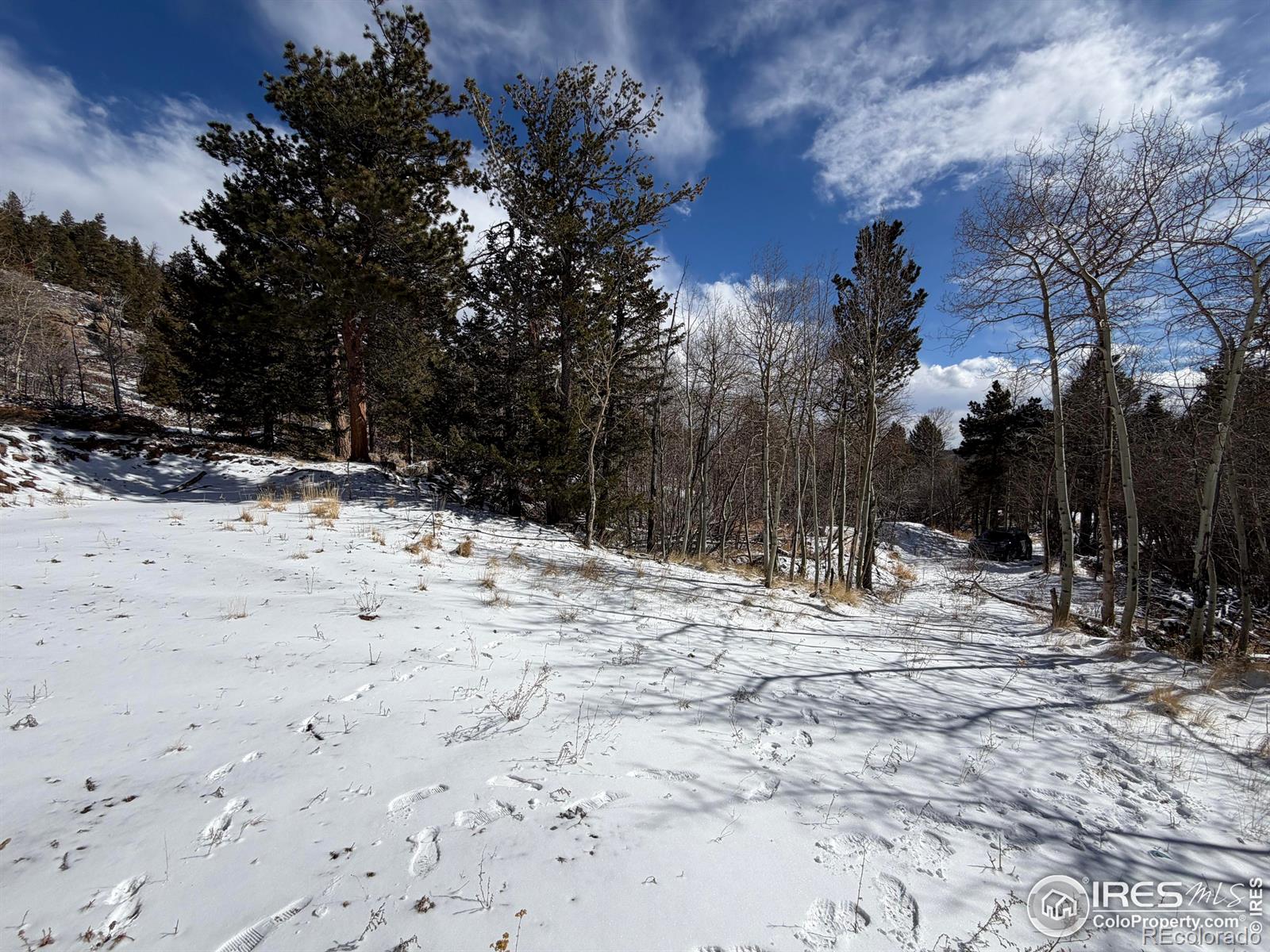115 Wenro Court Red Feather Lakes CO 80545