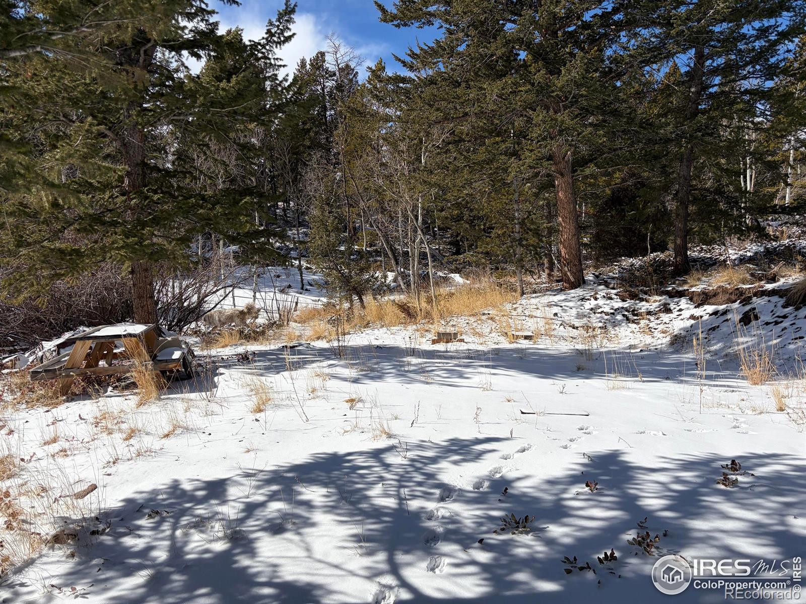 115 Wenro Court Red Feather Lakes CO 80545