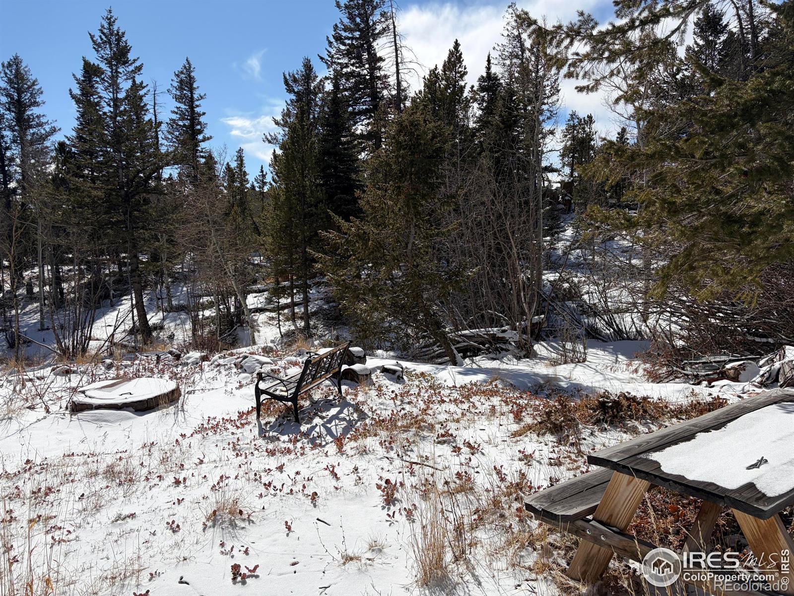 115 Wenro Court Red Feather Lakes CO 80545