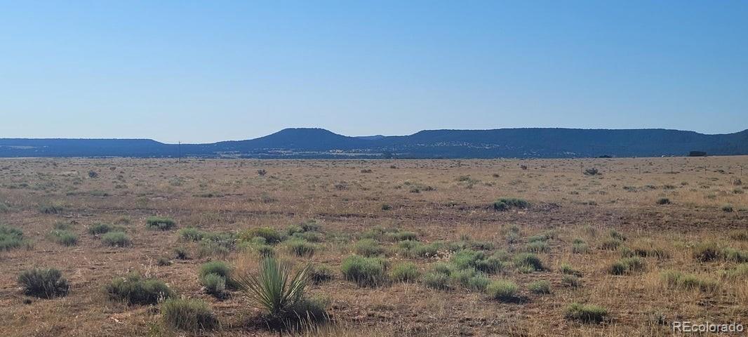 Lot 5 East Peak Ranches La Veta CO 81055