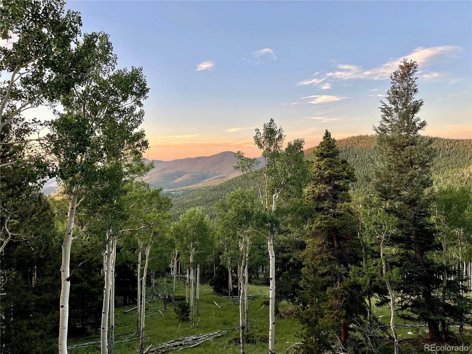 3665 Beaver Brook Canyon Road Evergreen CO 80439