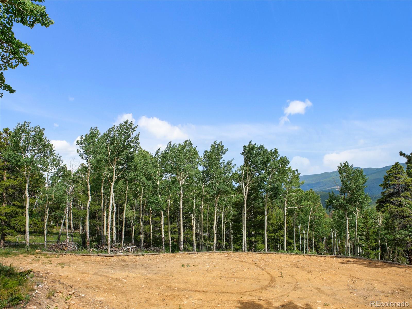 3665 Beaver Brook Canyon Road Evergreen CO 80439