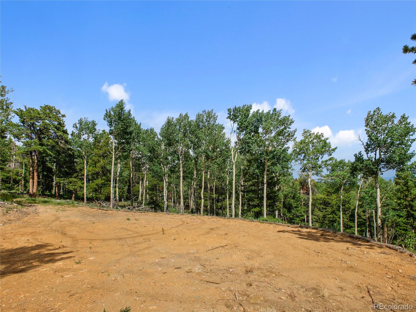 3665 Beaver Brook Canyon Road Evergreen CO 80439