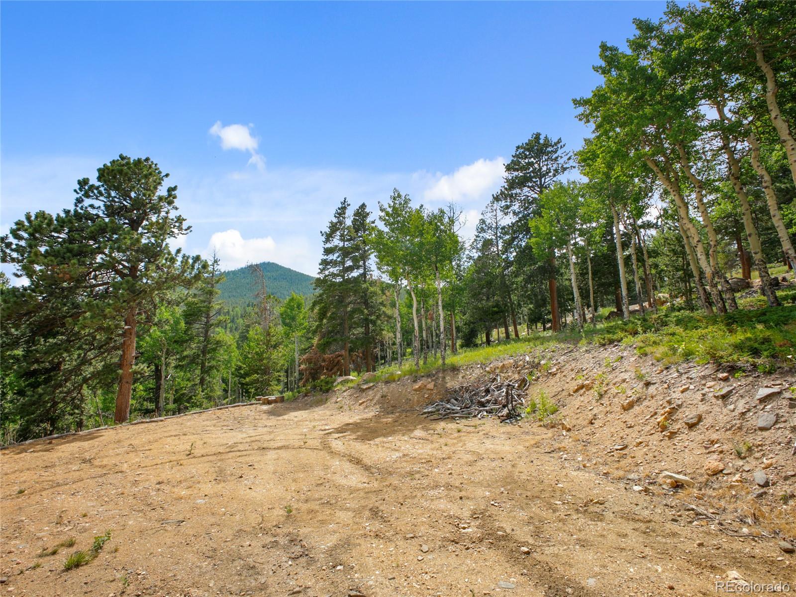 3665 Beaver Brook Canyon Road Evergreen CO 80439
