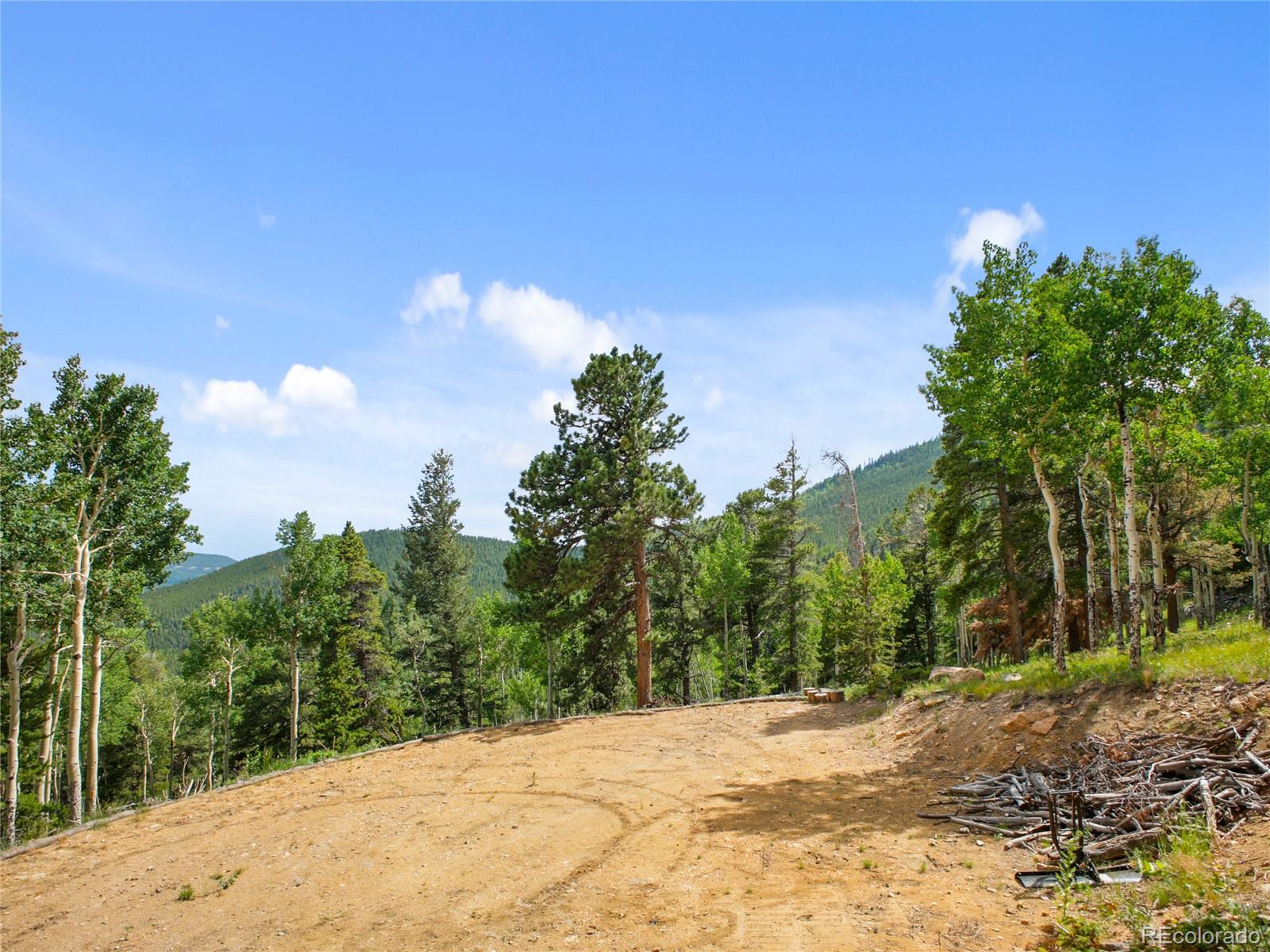 3665 Beaver Brook Canyon Road Evergreen CO 80439