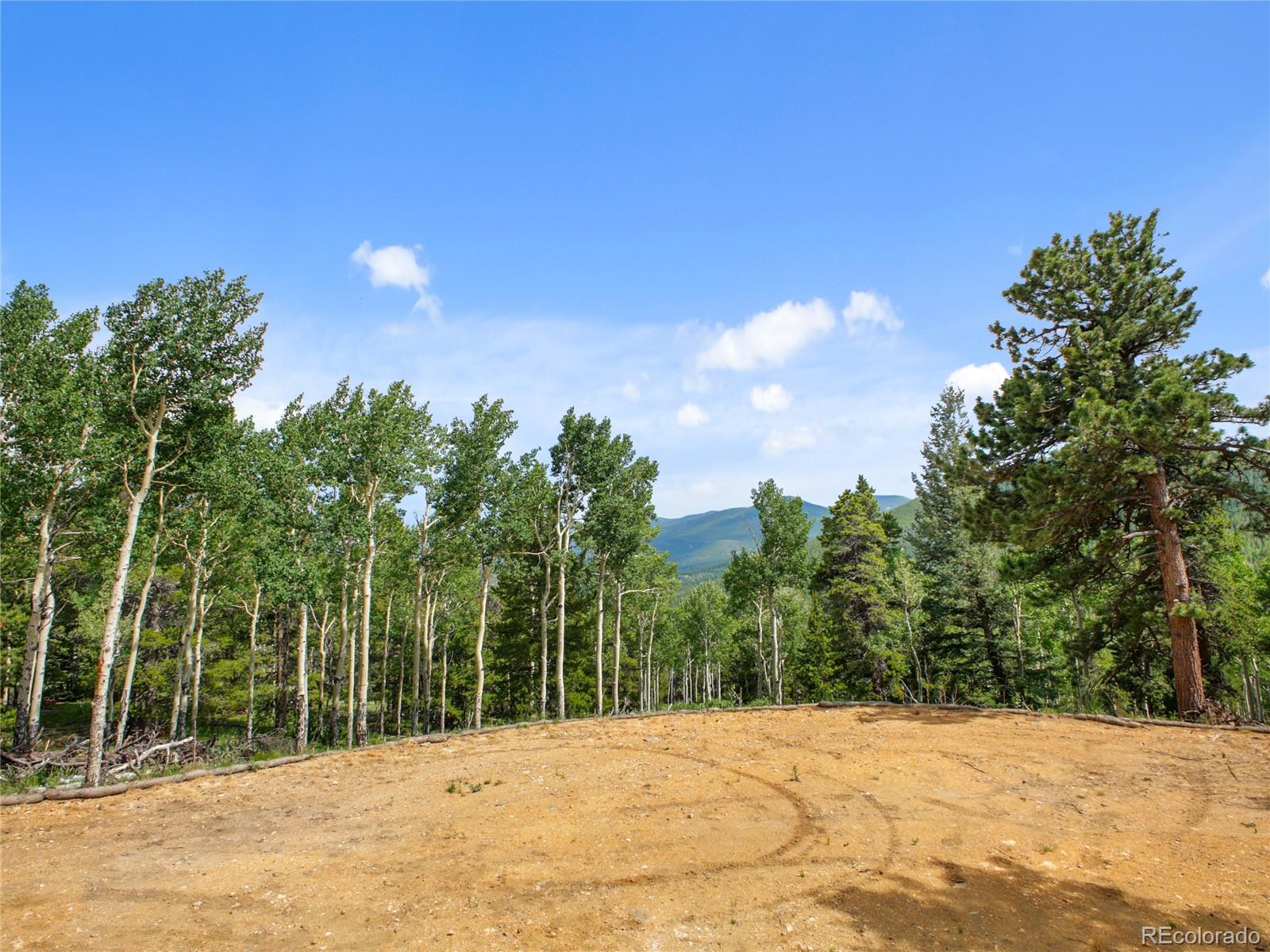 3665 Beaver Brook Canyon Road Evergreen CO 80439