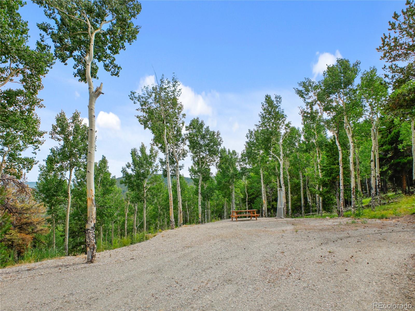 3665 Beaver Brook Canyon Road Evergreen CO 80439