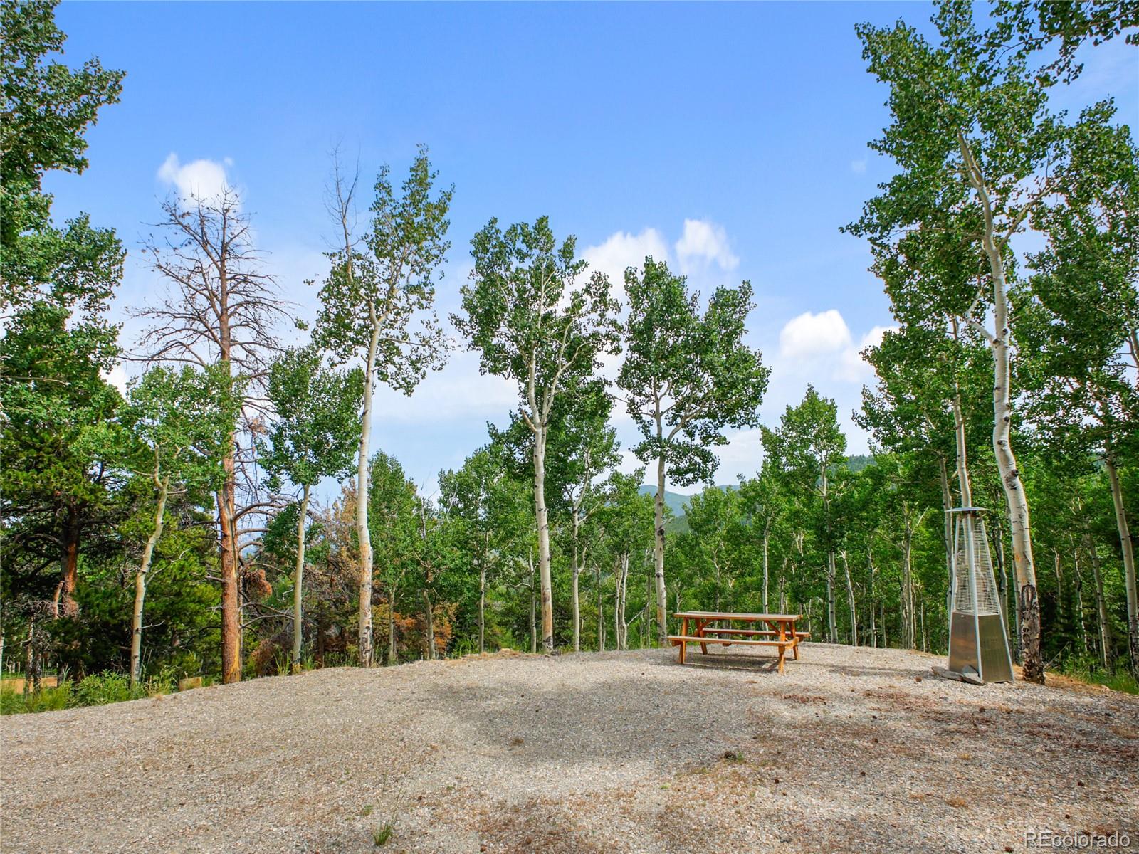 3665 Beaver Brook Canyon Road Evergreen CO 80439