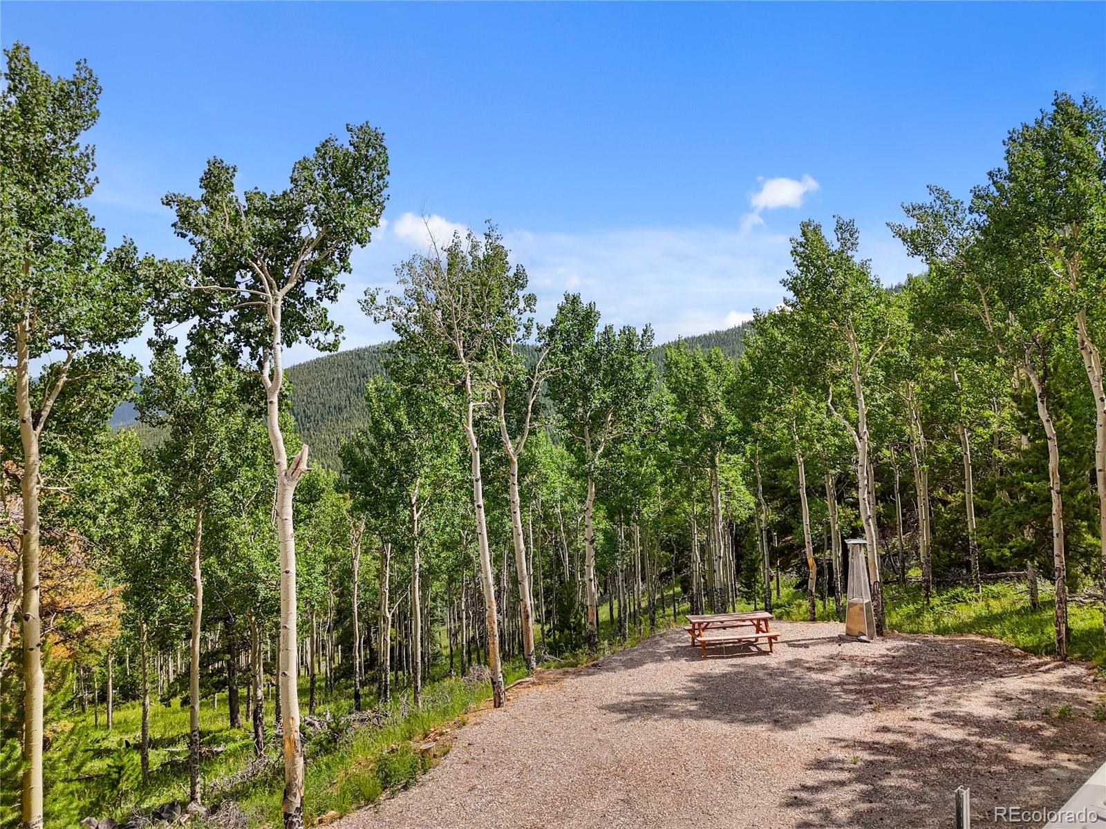 3665 Beaver Brook Canyon Road Evergreen CO 80439