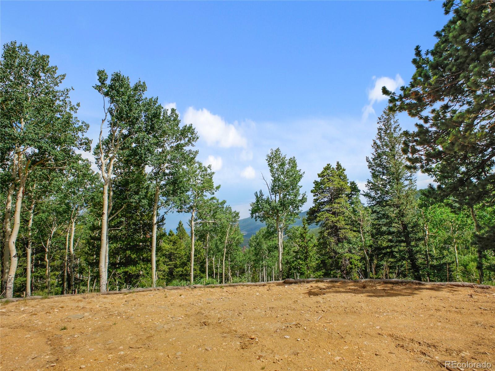3665 Beaver Brook Canyon Road Evergreen CO 80439