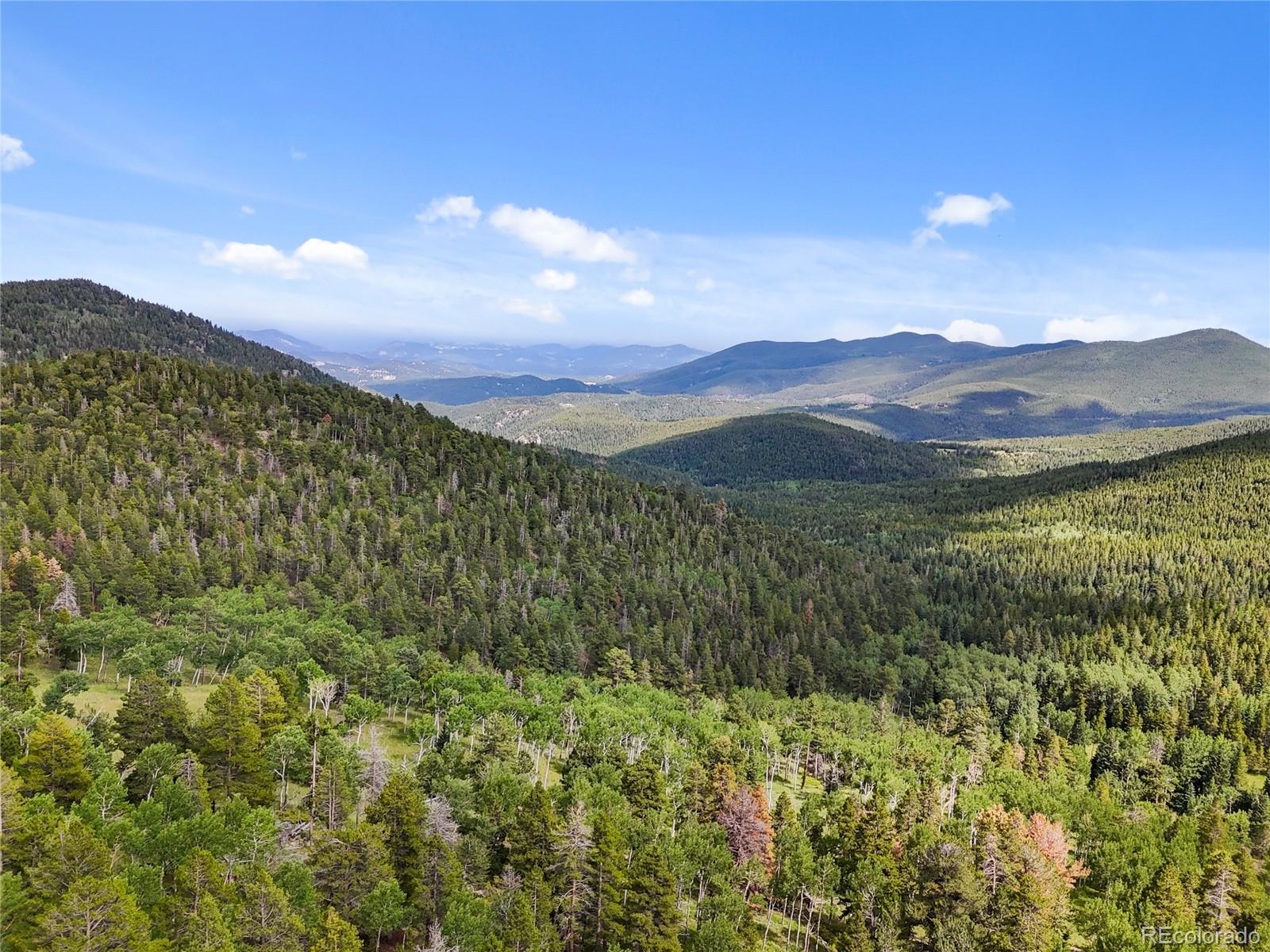 3665 Beaver Brook Canyon Road Evergreen CO 80439