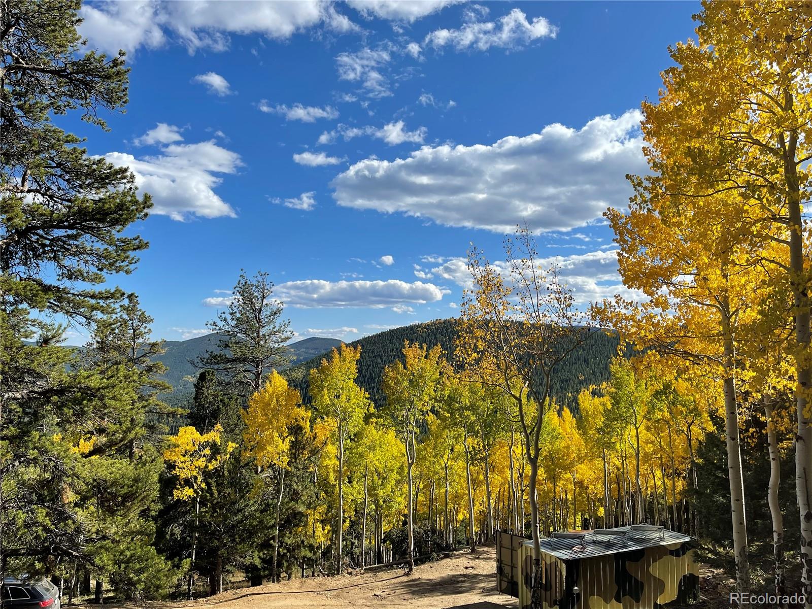 3665 Beaver Brook Canyon Road Evergreen CO 80439