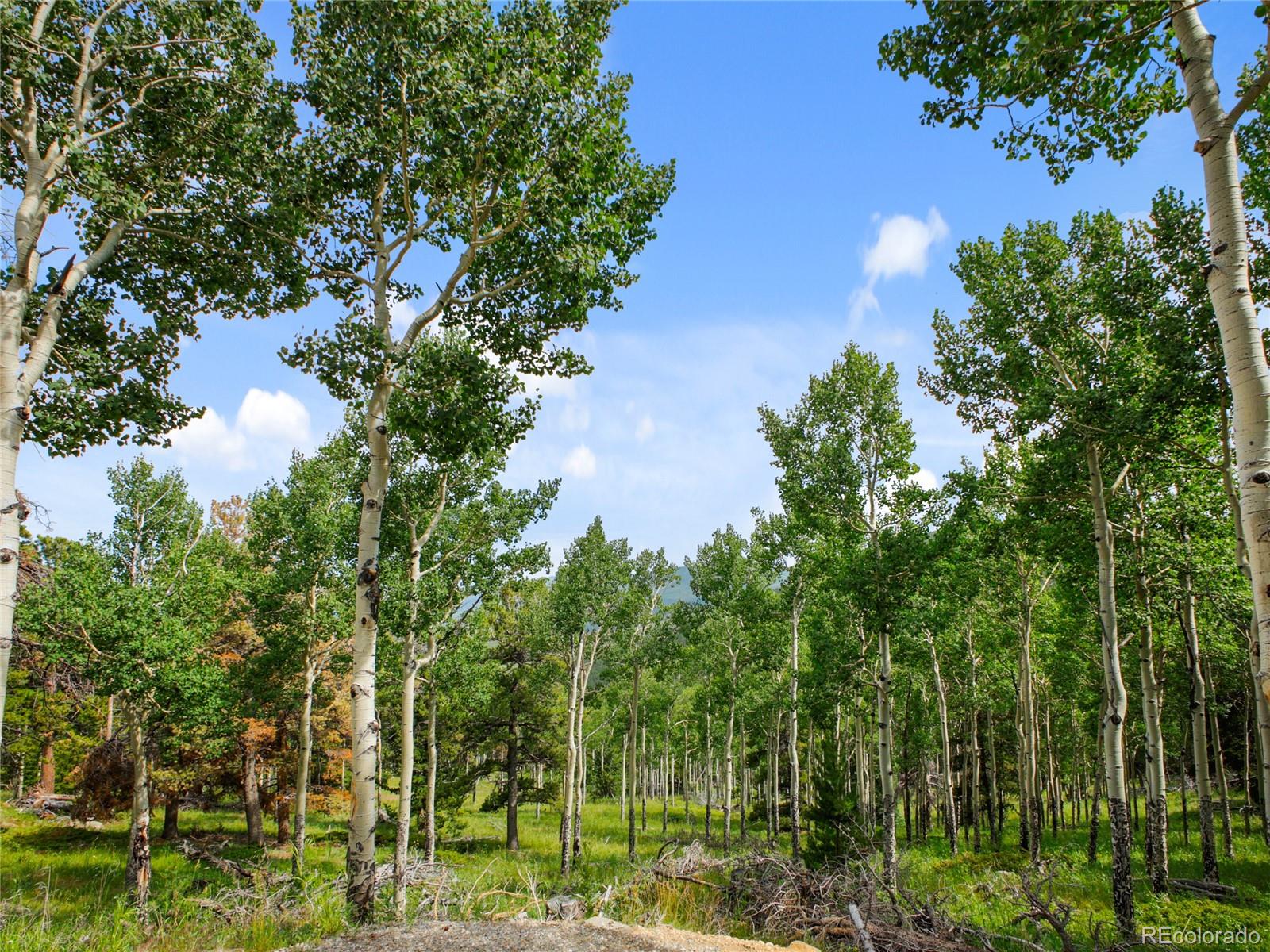 3665 Beaver Brook Canyon Road Evergreen CO 80439