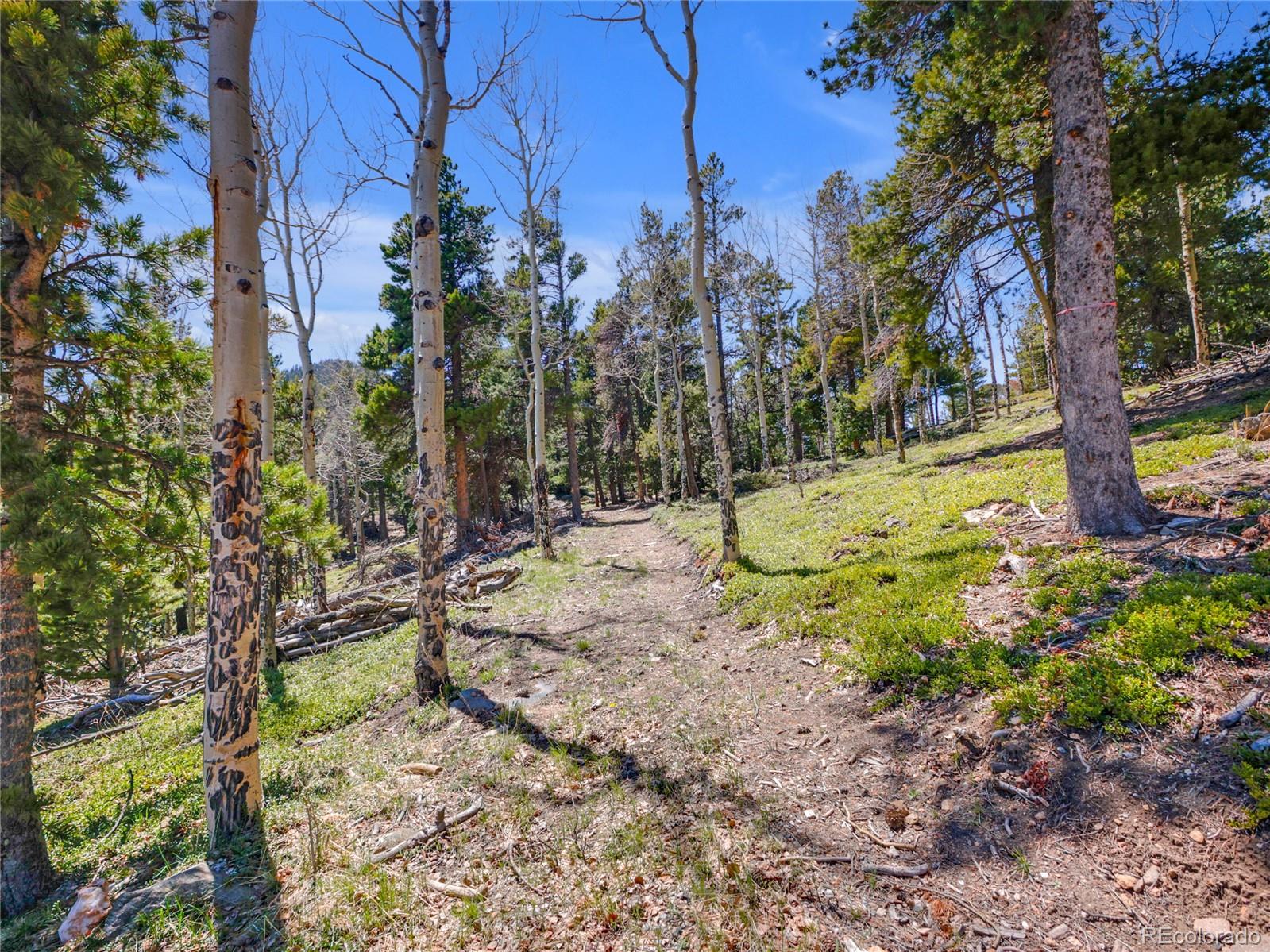 3665 Beaver Brook Canyon Road Evergreen CO 80439