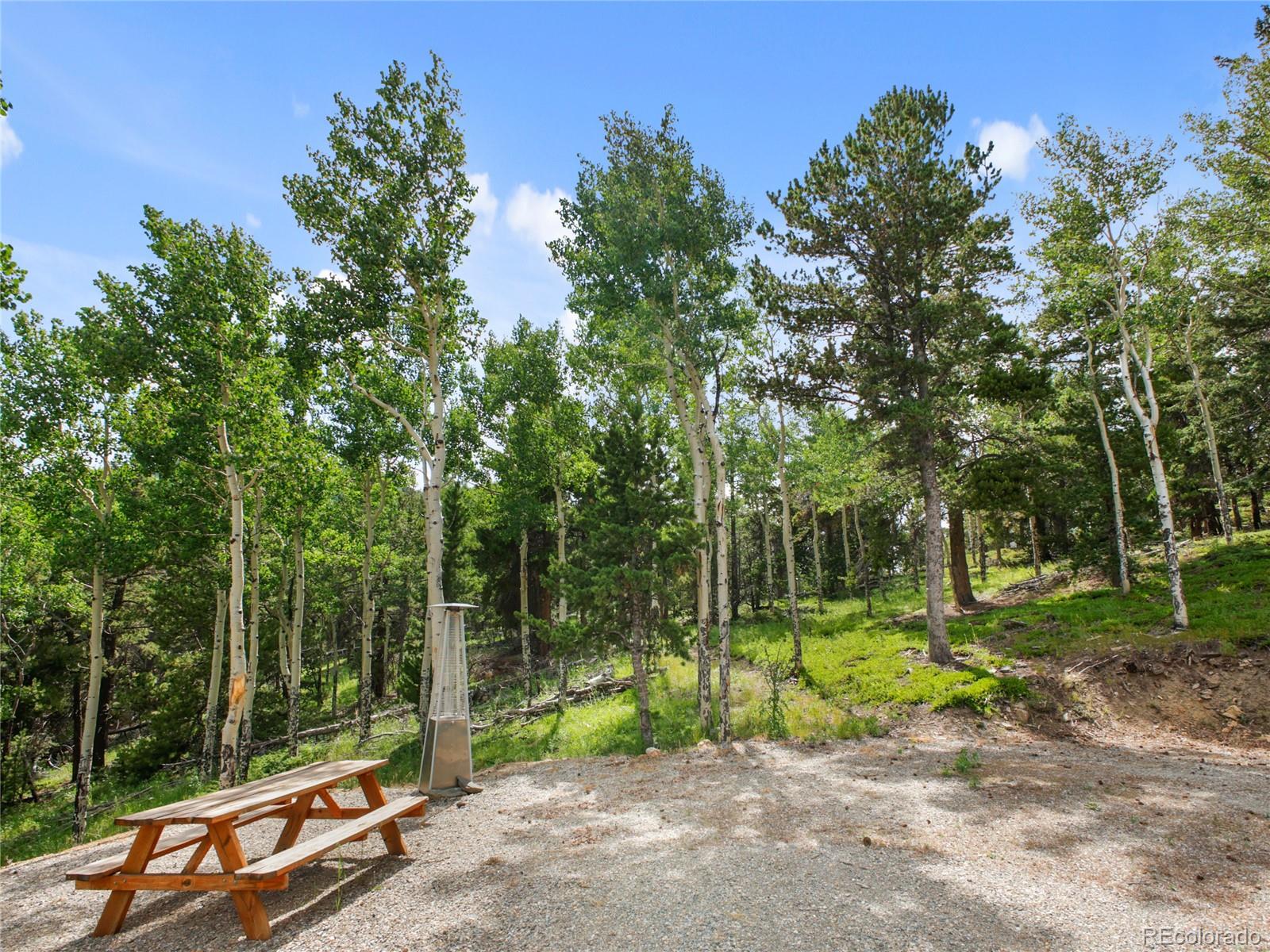 3665 Beaver Brook Canyon Road Evergreen CO 80439