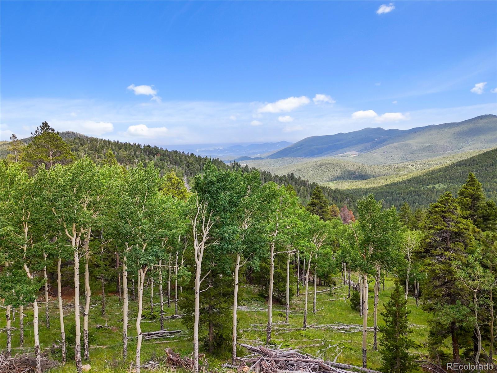 3665 Beaver Brook Canyon Road Evergreen CO 80439