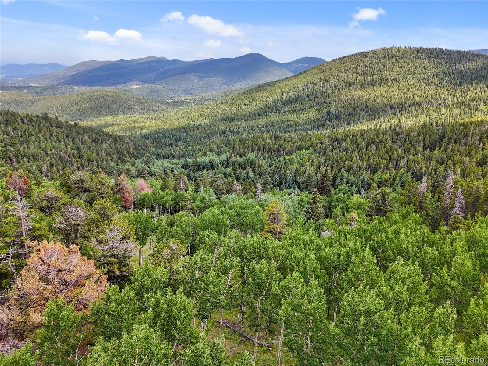 3665 Beaver Brook Canyon Road Evergreen CO 80439