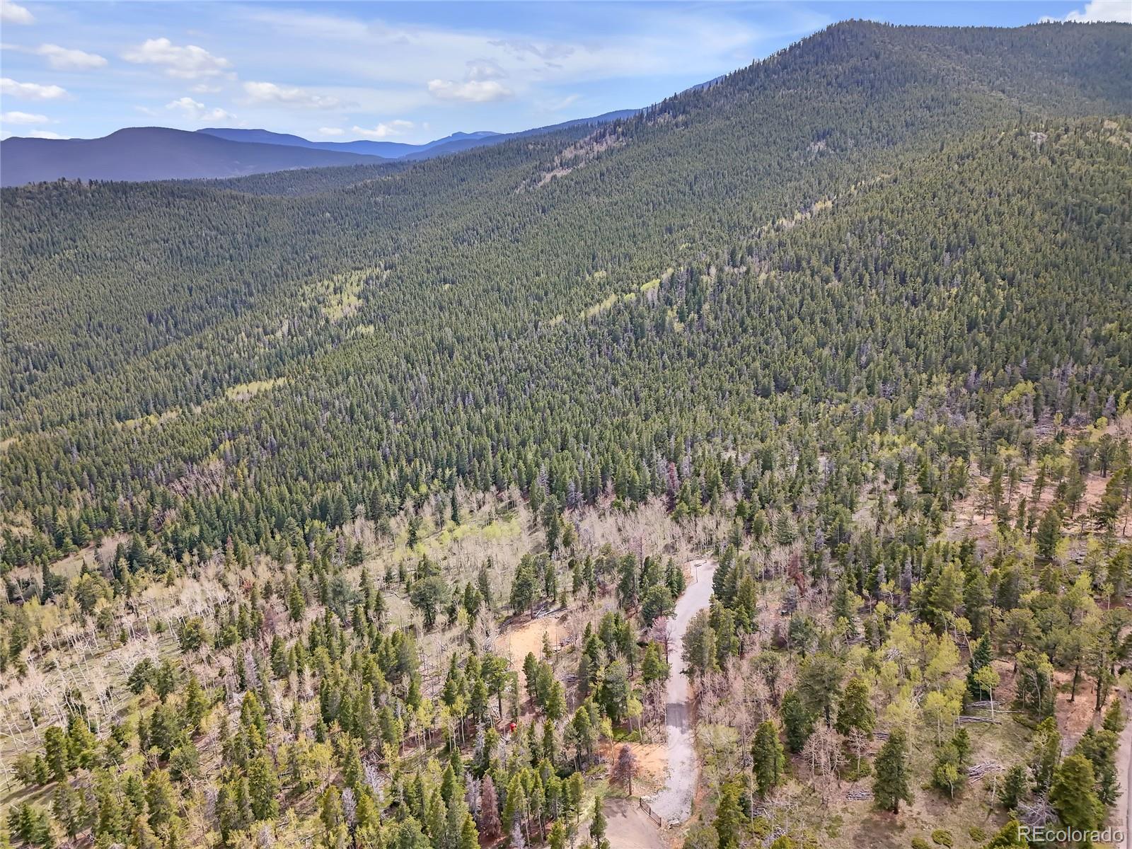 3665 Beaver Brook Canyon Road Evergreen CO 80439