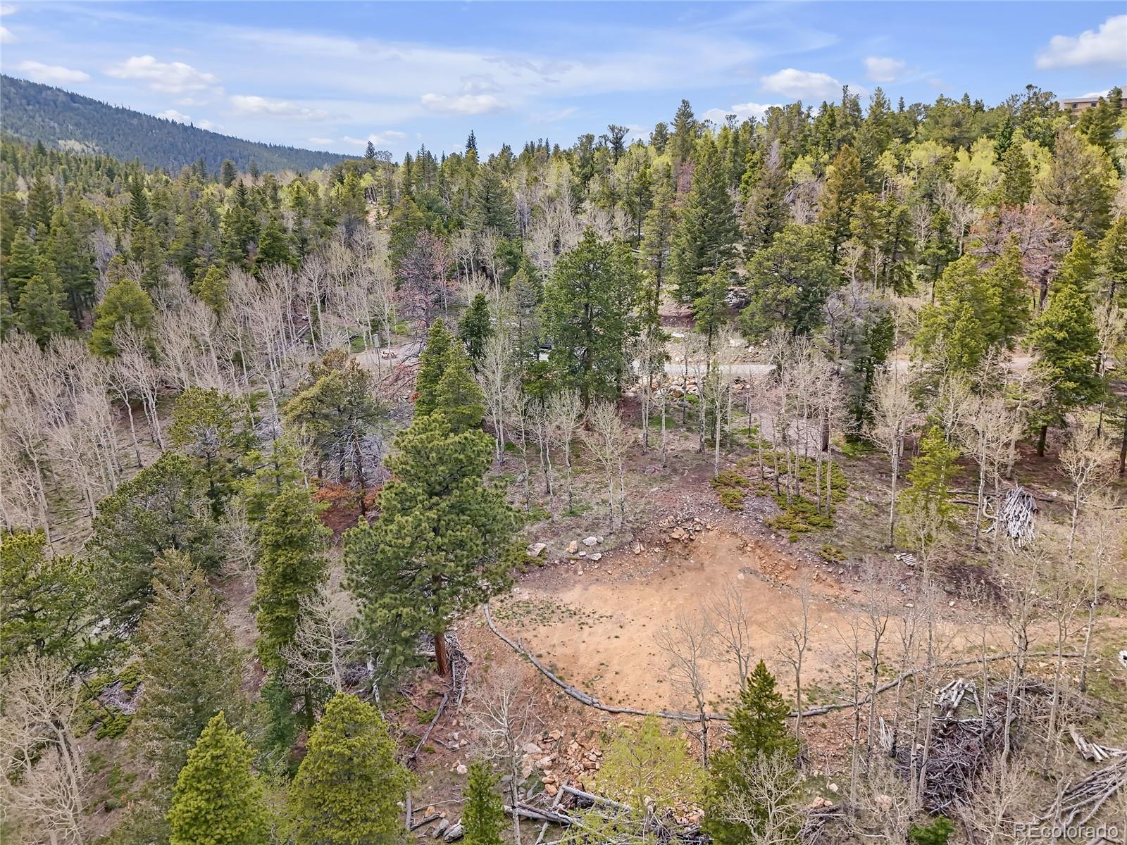 3665 Beaver Brook Canyon Road Evergreen CO 80439