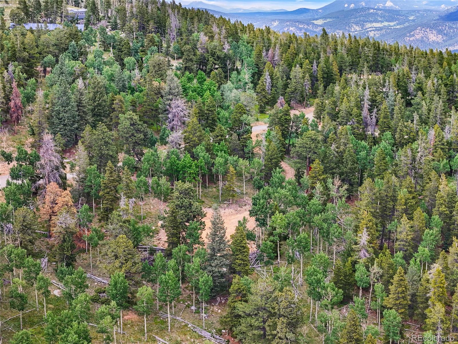 3665 Beaver Brook Canyon Road Evergreen CO 80439