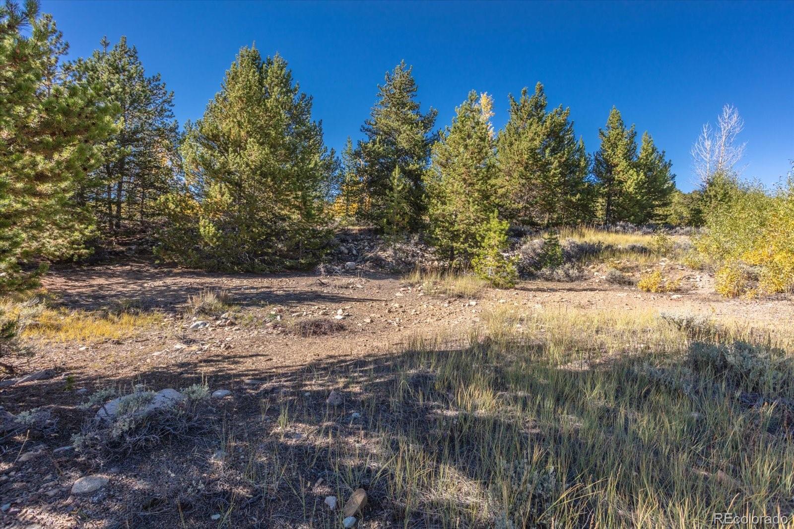 Tbd Leadville CO 80461
