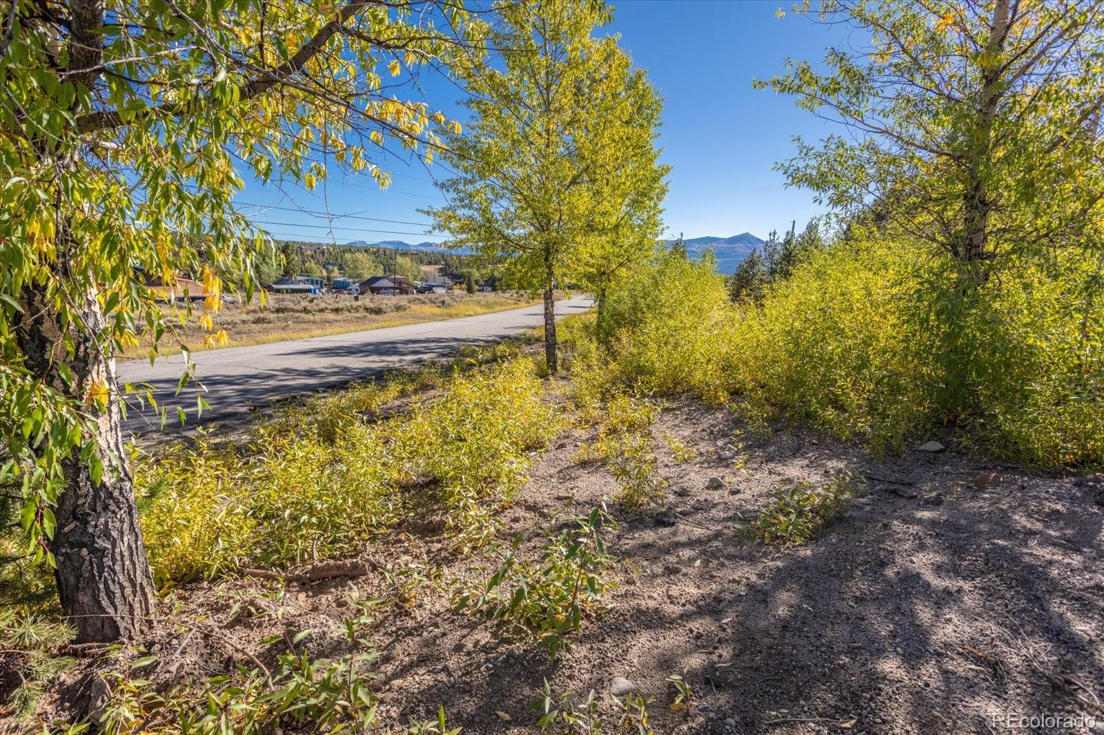 Tbd Leadville CO 80461