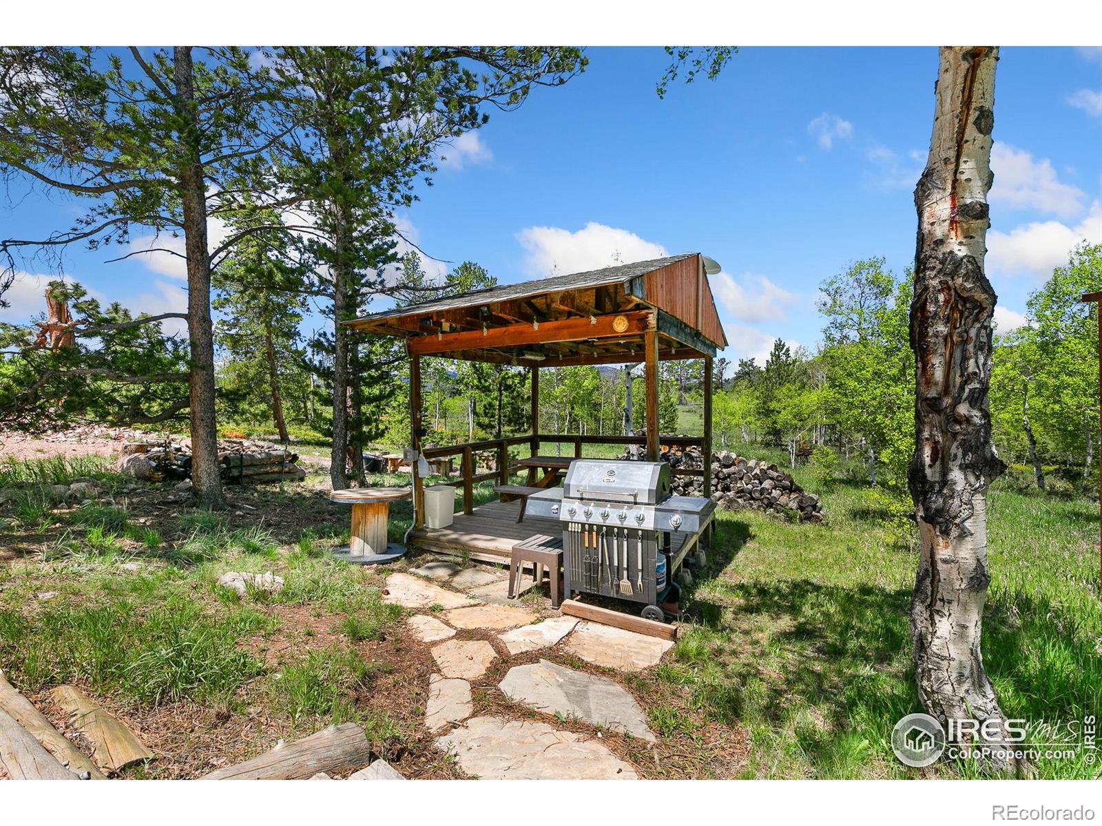 5481 N County Road 73c Red Feather Lakes CO 80545