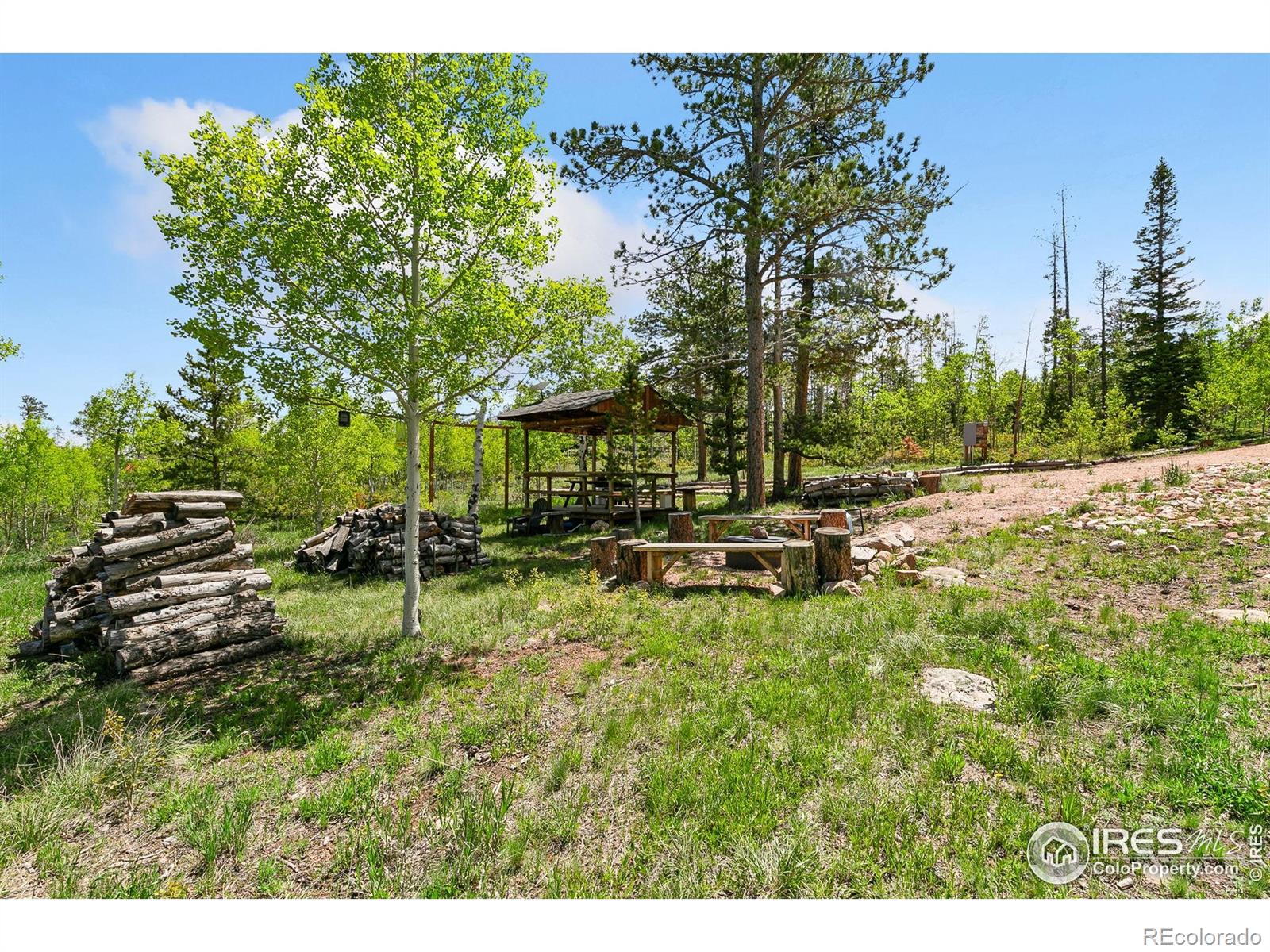 5481 N County Road 73c Red Feather Lakes CO 80545