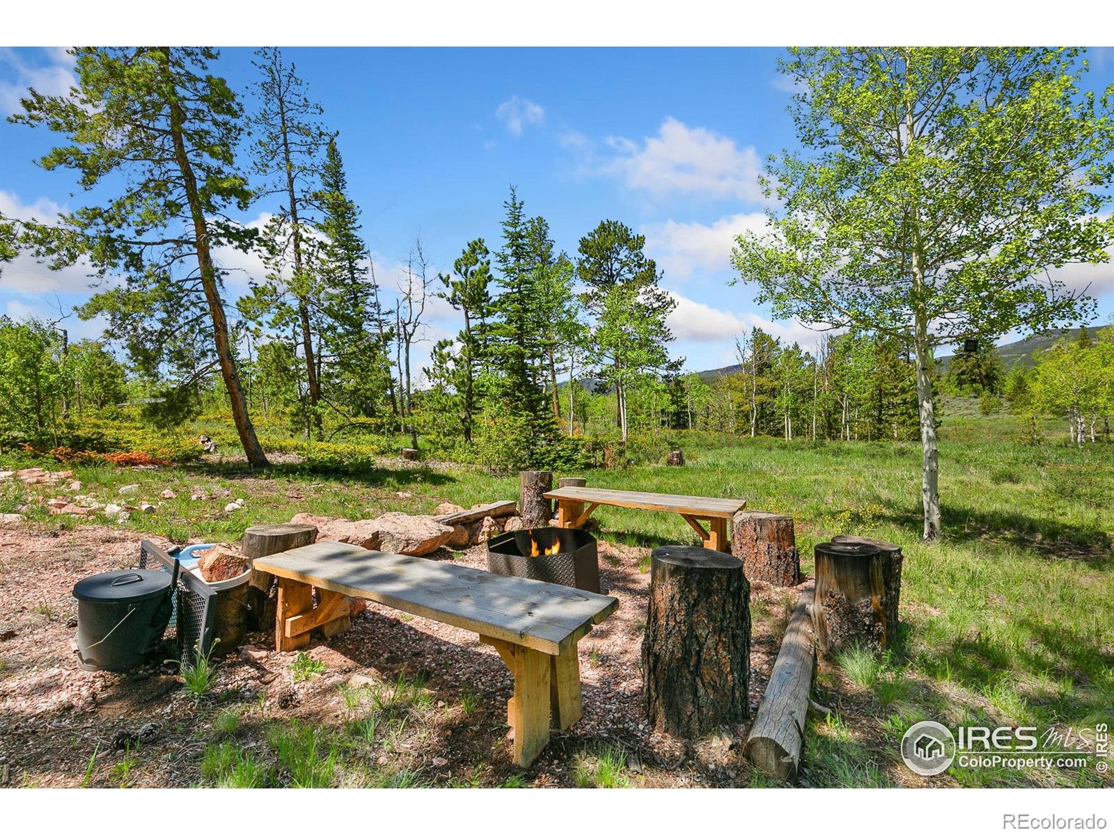 5481 N County Road 73c Red Feather Lakes CO 80545