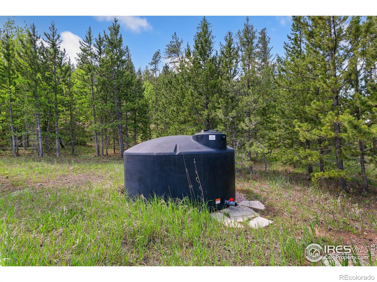 5481 N County Road 73c Red Feather Lakes CO 80545