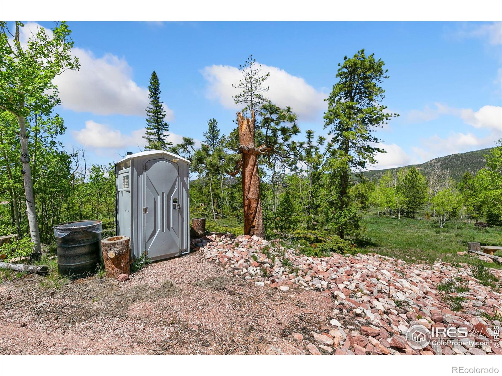 5481 N County Road 73c Red Feather Lakes CO 80545