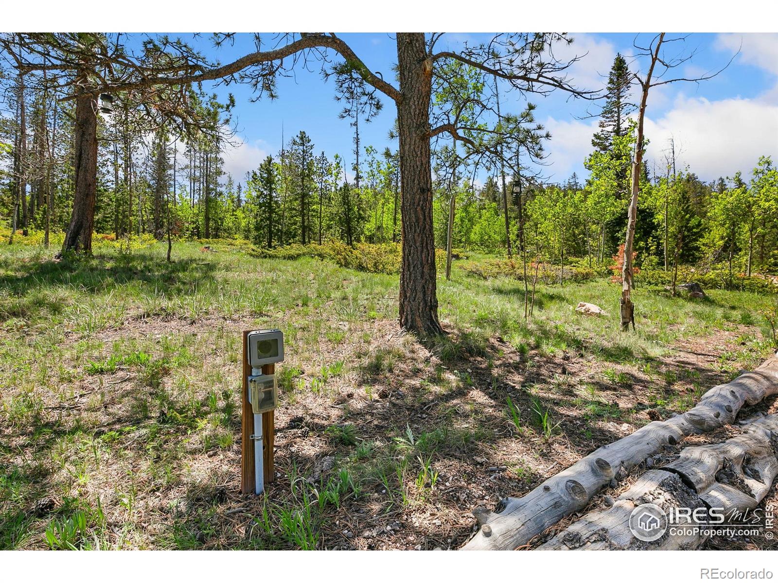 5481 N County Road 73c Red Feather Lakes CO 80545