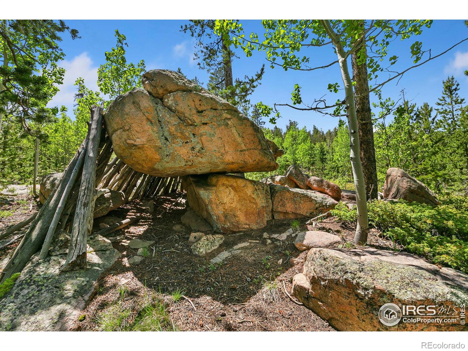 5481 N County Road 73c Red Feather Lakes CO 80545
