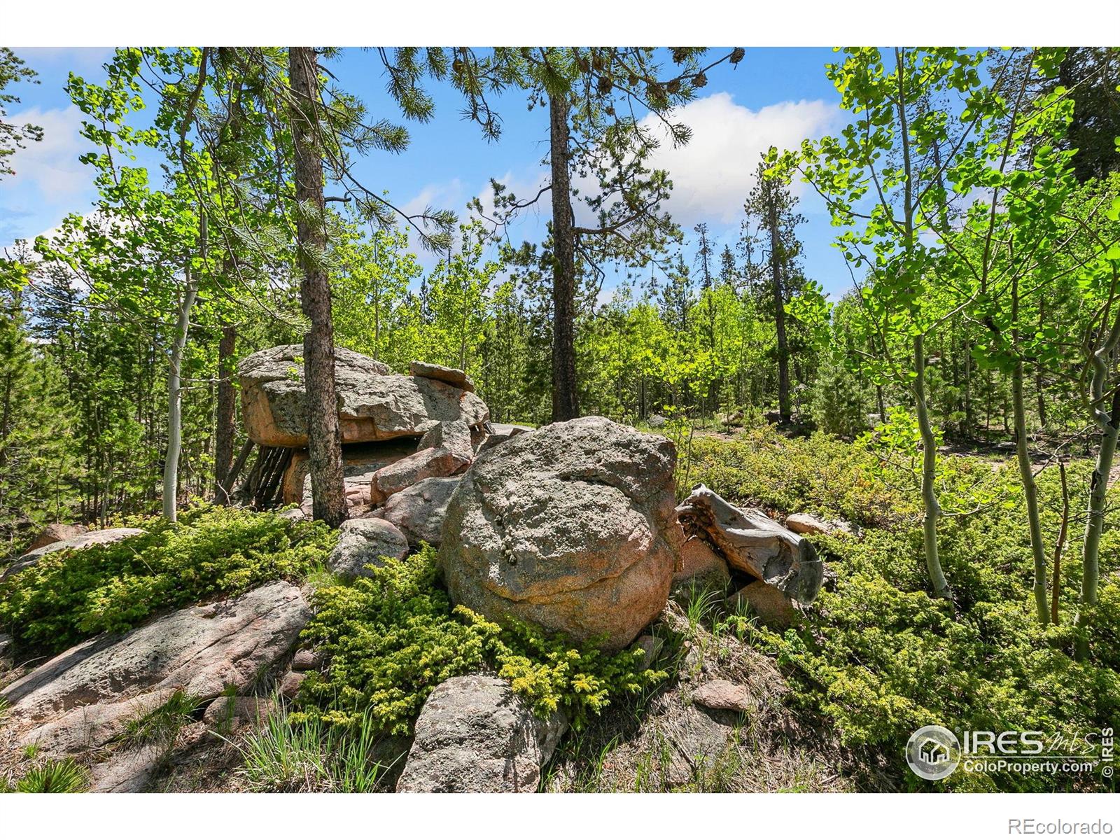5481 N County Road 73c Red Feather Lakes CO 80545