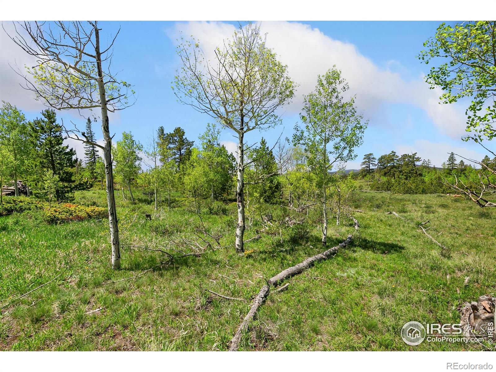 5481 N County Road 73c Red Feather Lakes CO 80545
