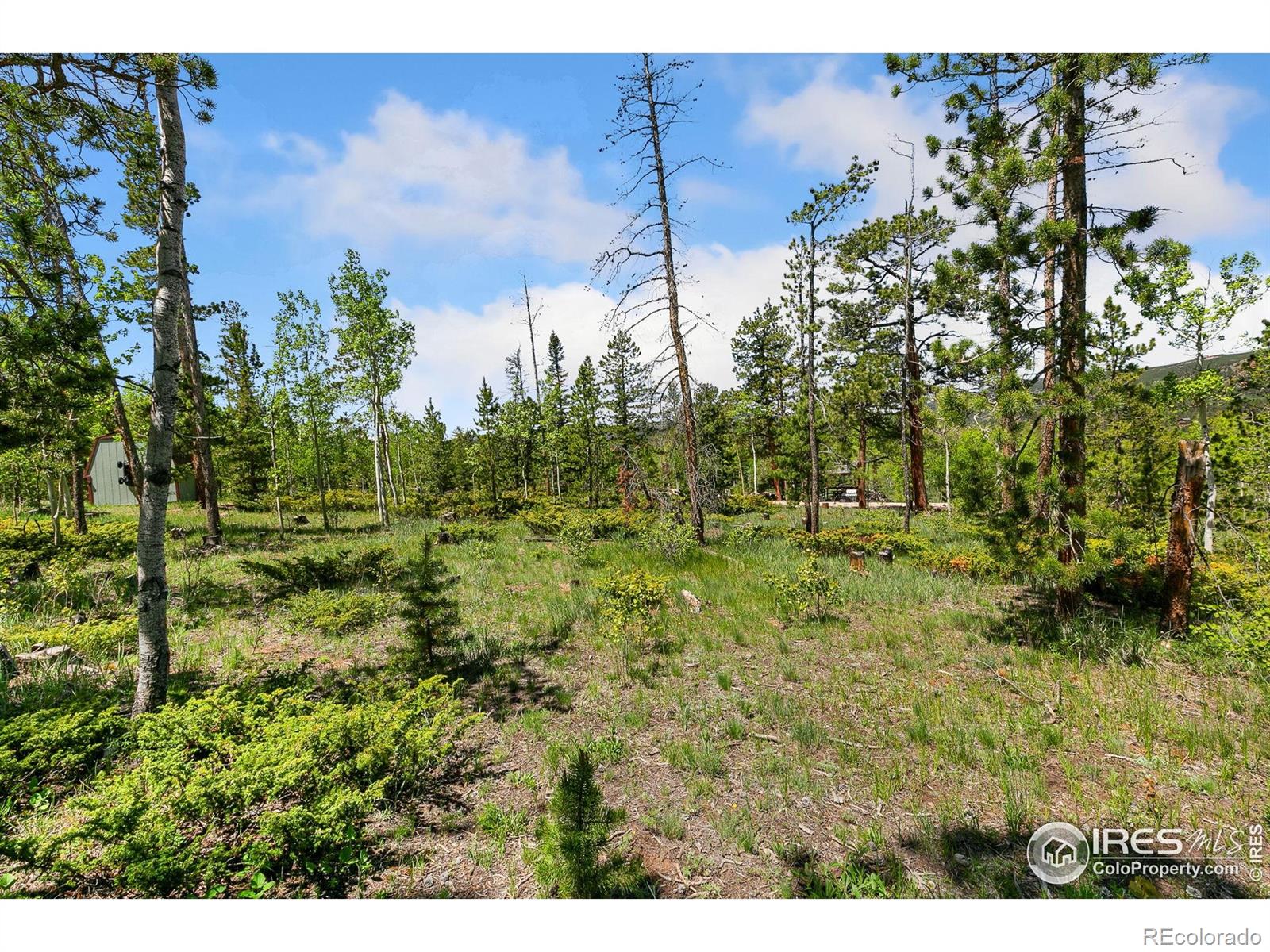 5481 N County Road 73c Red Feather Lakes CO 80545