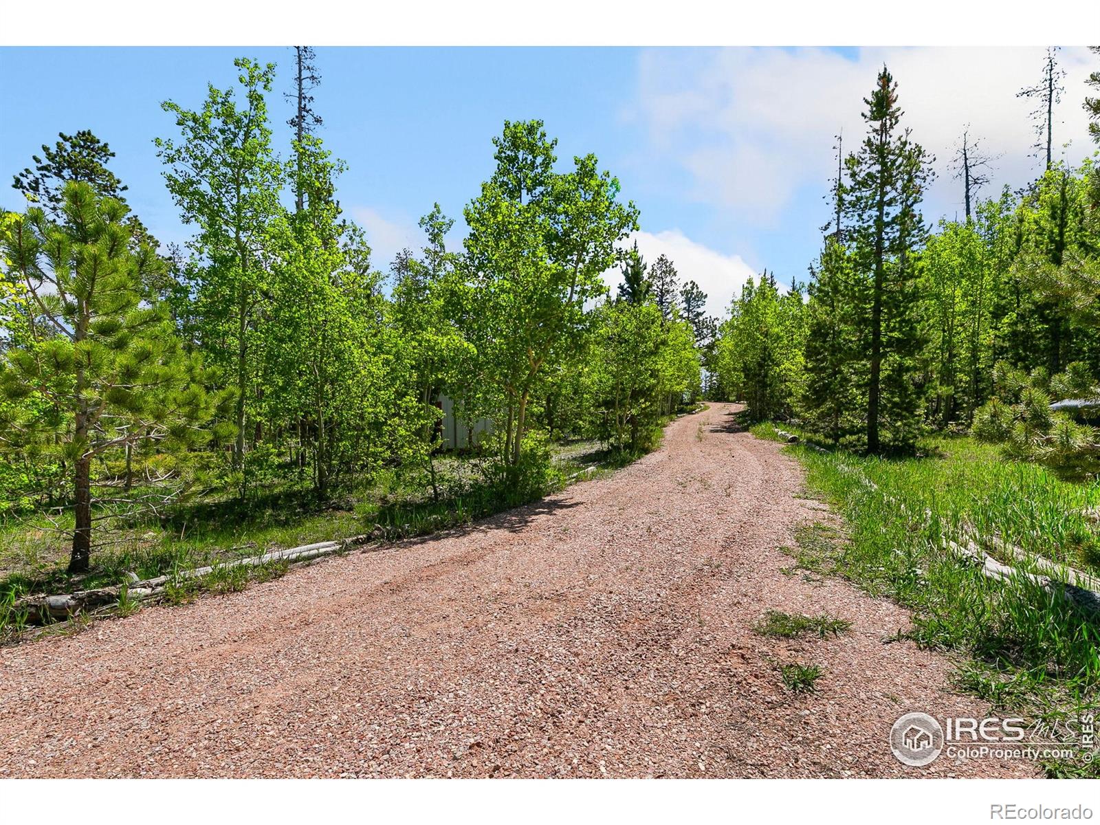 5481 N County Road 73c Red Feather Lakes CO 80545