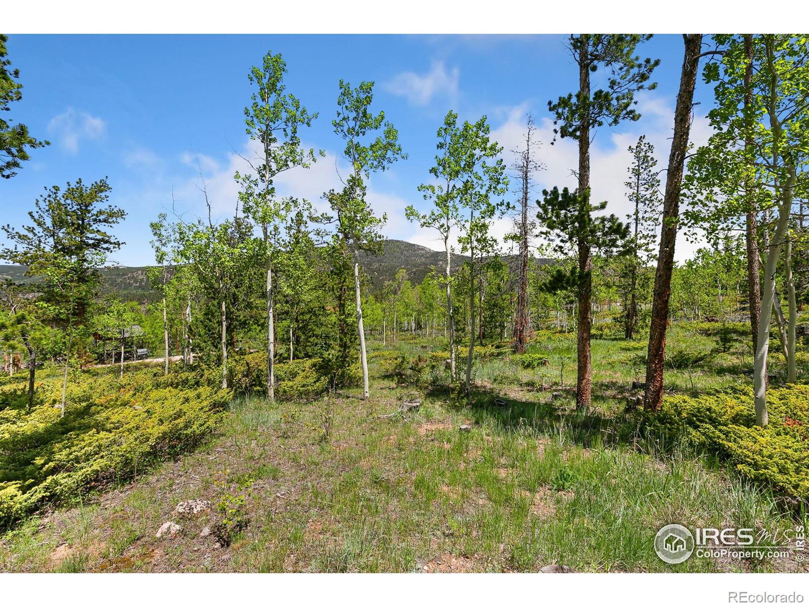 5481 N County Road 73c Red Feather Lakes CO 80545